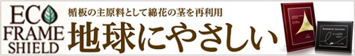 エコフレームシールド