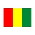 画像1: 卓上旗　ギニア (1)