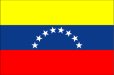 画像1: 卓上旗　ベネズエラ (1)