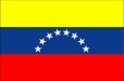 画像1: 卓上旗　ベネズエラ (1)