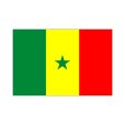 画像1: 卓上旗　セネガル (1)
