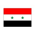 シリア国旗画像1