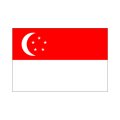 シンガポール国旗：翌日発送可、世界の国旗掲揚、壁掛け、タペストリーに外国旗販売