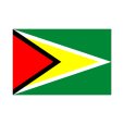 ガイアナ国旗画像1
