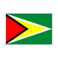 ガイアナ国旗：翌日発送可、世界の国旗掲揚、壁掛け、タペストリーに外国旗販売