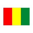 ギニア国旗画像1
