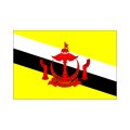 ブルネイ国旗：翌日発送可、世界の国旗掲揚、壁掛け、タペストリーに外国旗販売