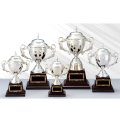 AS-9029：野球・空手・ゴルフ・サッカー・全ジャンルに優勝杯・優勝カップ