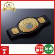 画像1: チャンピオンベルトOST160：ボクシング・空手・プロレス・格闘技・の大会に使用可能なチャンピオンベルト (1)