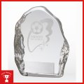 VTX3651：名入れ・文字彫刻無料・優秀選手賞・殊勲賞・ＭＶＰなどに、オススメのサッカー用の楯 表彰楯