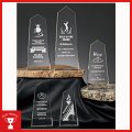 サンド加工　CK170：コンテスト・認定書・周年記念・表彰用品にオススメ　表彰楯