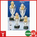 B6043：野球・サッカー・バスケットボール・剣道・テニスなどに各種大会に使用していただけるレリーフ交換式トロフィー