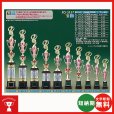 画像1: TO3157 文字彫刻無料、ピクトグラムをモチーフにした SZ人形はボリューム満点！！ 1本柱トロフィー (1)