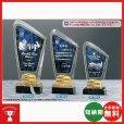 画像1: 表彰楯　SHL-7209：勤続表彰・企業表彰・代理店表彰・周年記念・表彰用品にオススメのレーザー彫刻表彰楯 (1)