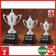 画像1: CA-1035：野球・空手・ゴルフ・サッカー・全ジャンルに優勝杯・優勝カップ (1)