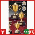 画像1: EG-1021：ペナントの付けて持ち回りに使用できる豪華な高級優勝カップ (1)