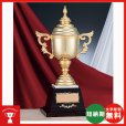 画像1: RG-8801：ペナントの付けて持ち回りに使用できる豪華な高級優勝カップ (1)
