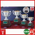 画像1: CA-1068：野球・空手・ゴルフ・サッカー・全ジャンルに優勝杯・優勝カップ (1)