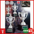 画像1: CA-1033：野球・空手・ゴルフ・サッカー・全ジャンルに優勝杯・優勝カップ (1)