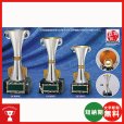 画像1: CA-1038：野球・空手・ゴルフ・サッカー・全ジャンルに優勝杯・優勝カップ (1)
