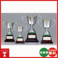 画像1: AS-9505：野球・空手・ゴルフ・サッカー・全ジャンルに優勝杯・優勝カップ (1)