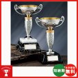 画像1: AS-9203：野球・空手・ゴルフ・サッカー・全ジャンルに優勝杯・優勝カップ (1)