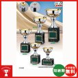 画像1: CI-1053：野球・空手・ゴルフ・サッカー・全ジャンルに優勝杯・優勝カップ (1)