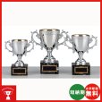 画像1: 格安カップ CP-201：大会の参加賞や、低予算時に格安な優勝杯・優勝カップ (1)