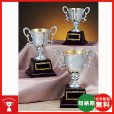 画像1: AS-9243：ゴルフコンペの記念品、景品の、ゴルフ用の優勝杯・優勝カップ (1)