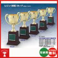 画像1: 格安カップ　CT-1065　レジン（樹脂）カップ〈蒸着メッキ加工〉 大量購入や、大会の参加賞や、低予算時に格安な優勝杯・優勝カップ (1)