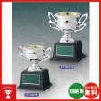 画像1: 格安カップ　CT-1067　レジン（樹脂）カップ〈蒸着メッキ加工〉 大量購入や、大会の参加賞や、低予算時に格安な優勝杯・優勝カップ (1)