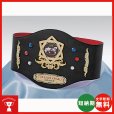 画像1: チャンピオンベルトCB-02：ボクシング・空手・プロレス・格闘技・の大会に使用可能なチャンピオンベルト (1)