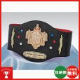 画像1: チャンピオンベルトCB-01：ボクシング・空手・プロレス・格闘技・の大会に使用可能なチャンピオンベルト (1)