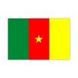 画像1: 卓上旗　カメルーン (1)