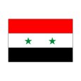 画像1: 卓上旗　シリア (1)