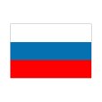 画像1: 卓上旗　ロシア (1)
