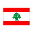 画像1: 卓上旗　レバノン (1)