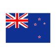 画像1: 卓上旗　ニュージーランド (1)