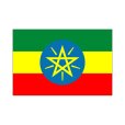 画像1: 卓上旗　エチオピア (1)
