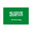 画像1: 卓上旗　サウジアラビア (1)
