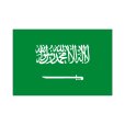 画像1: 卓上旗　サウジアラビア (1)
