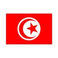 画像1: 卓上旗　チュニジア (1)