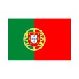 画像1: 卓上旗　ポルトガル (1)