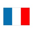 画像1: 卓上旗　フランス (1)
