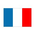 卓上旗　フランス