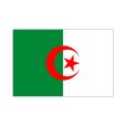 画像1: 卓上旗　アルジェリア (1)