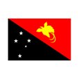 画像1: 卓上旗　パプアニューギニア (1)