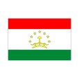 画像1: 卓上旗　タジキスタン (1)