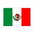 画像1: 卓上旗　メキシコ (1)