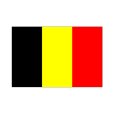 画像1: 卓上旗　ベルギー (1)